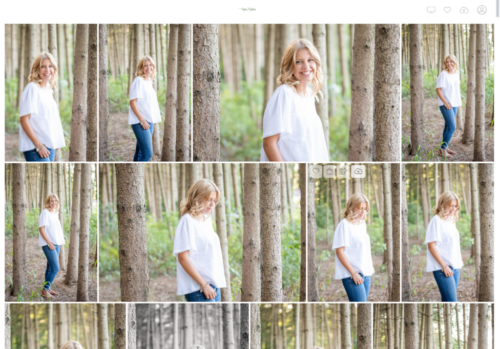Gallery Sample for Images from Your Photo Session | When do we receive our images and how do we get them? - Frequently Asked Questions for Your Photographer | Kate Martin Photography